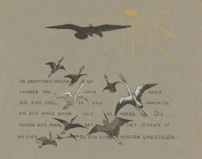 Vogels Vliegen Naar De Zon