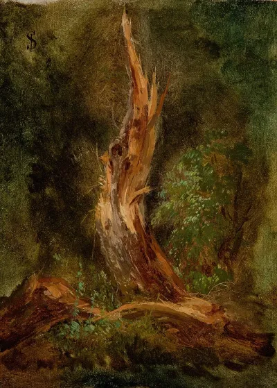 Volhynian Forest