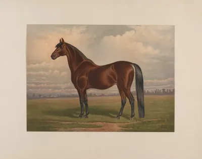 Volunteer The Greatest Living Trotting Sire