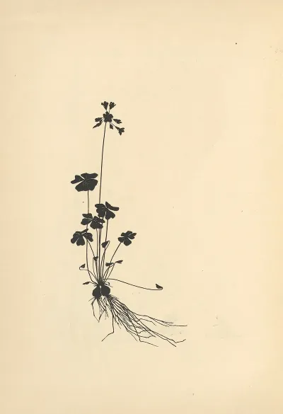 Vom Zufrieden Werden Pl 32