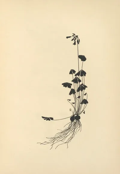 Vom Zufrieden Werden Pl 33