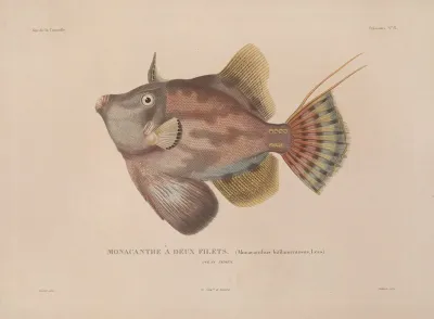 Voyage Autour Du Monde Pl 015