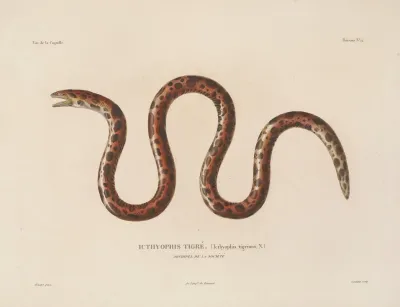 Voyage Autour Du Monde Pl 019
