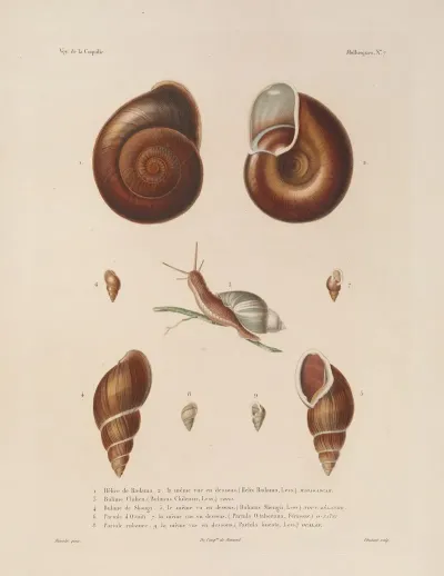 Voyage Autour Du Monde Pl 052