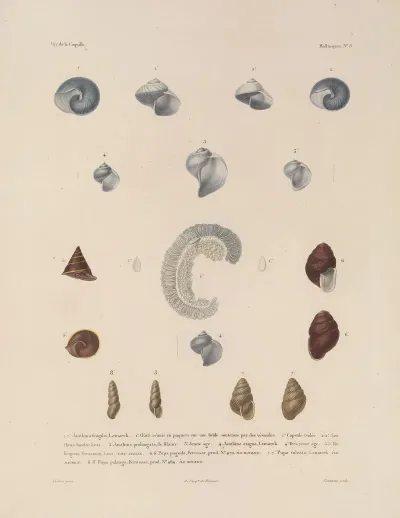 Voyage Autour Du Monde Pl 053