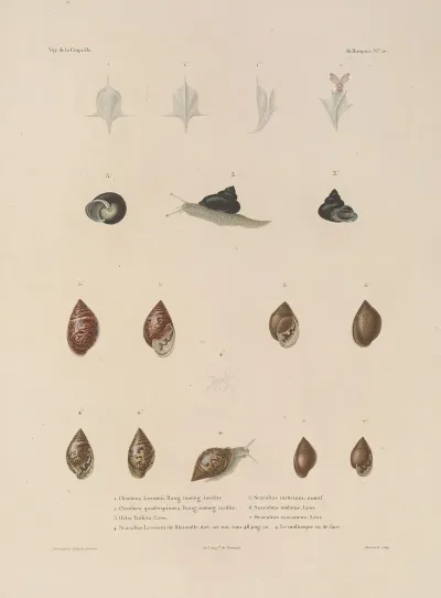 Voyage Autour Du Monde Pl 055