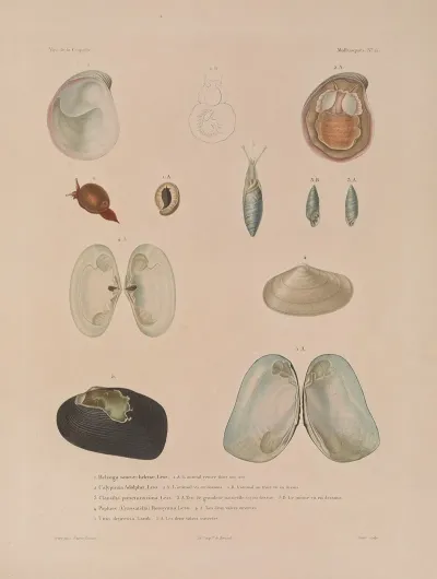 Voyage Autour Du Monde Pl 060