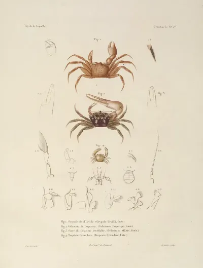 Voyage Autour Du Monde Pl 062