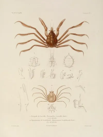 Voyage Autour Du Monde Pl 063