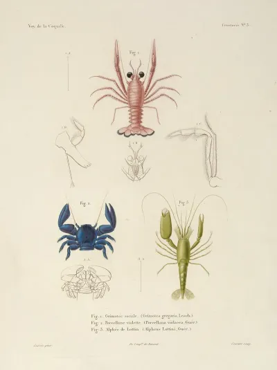 Voyage Autour Du Monde Pl 064