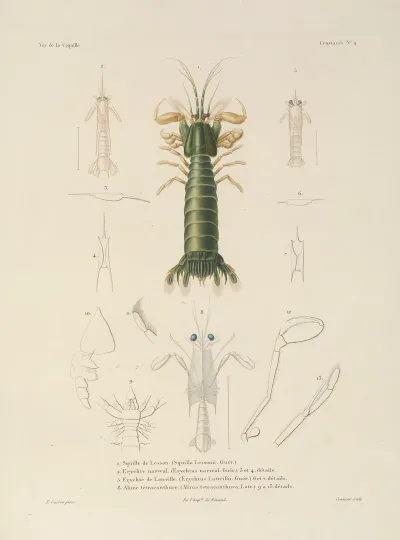Voyage Autour Du Monde Pl 065