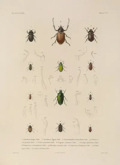 Voyage Autour Du Monde Pl 068