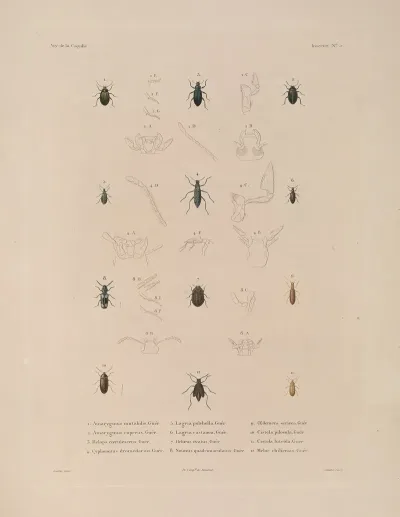 Voyage Autour Du Monde Pl 070