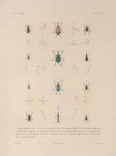 Voyage Autour Du Monde Pl 071
