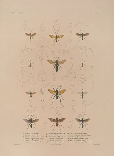 Voyage Autour Du Monde Pl 073