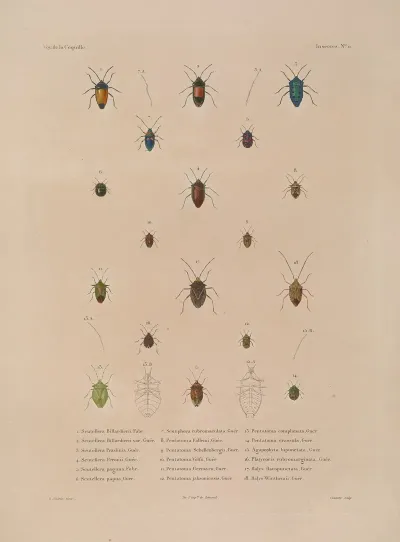Voyage Autour Du Monde Pl 076