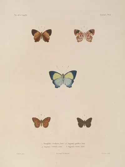 Voyage Autour Du Monde Pl 082