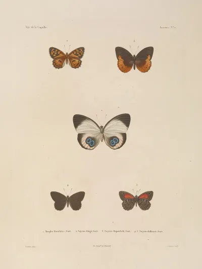 Voyage Autour Du Monde Pl 083