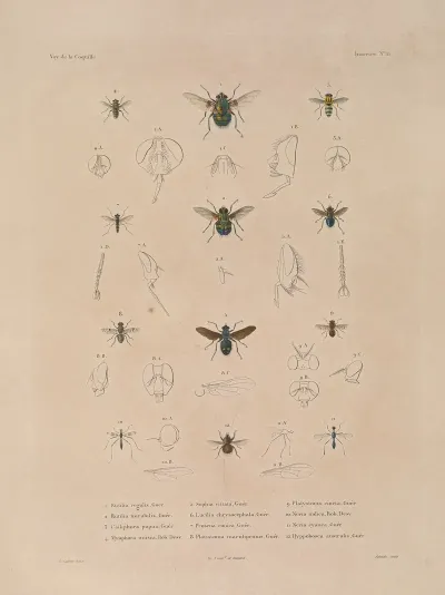 Voyage Autour Du Monde Pl 087