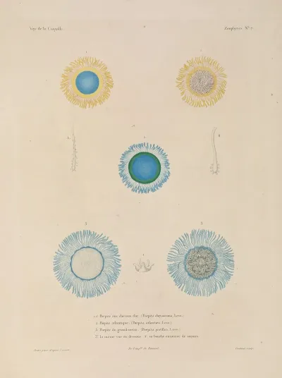 Voyage Autour Du Monde Pl 094