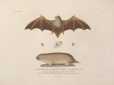 Voyage Autour Du Monde Pl 105