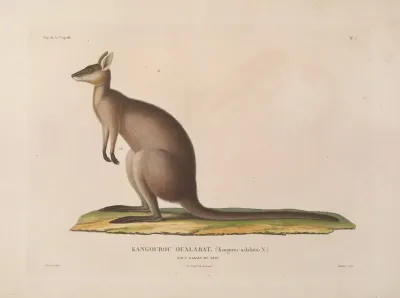 Voyage Autour Du Monde Pl 110