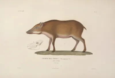 Voyage Autour Du Monde Pl 111