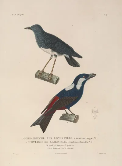 Voyage Autour Du Monde Pl 122