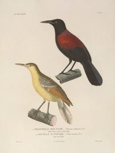 Voyage Autour Du Monde Pl 127