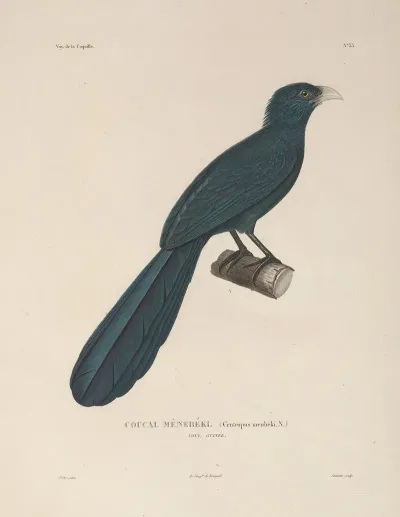 Voyage Autour Du Monde Pl 138