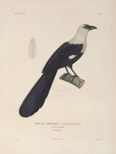 Voyage Autour Du Monde Pl 139