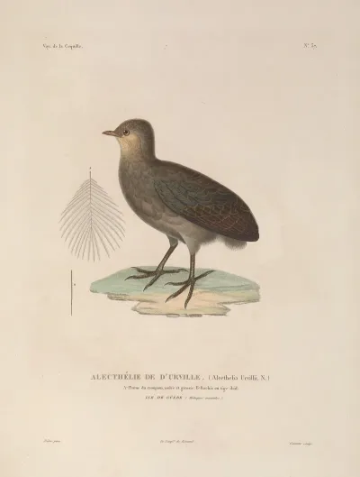 Voyage Autour Du Monde Pl 143