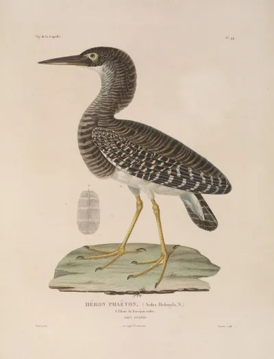 Voyage Autour Du Monde Pl 150