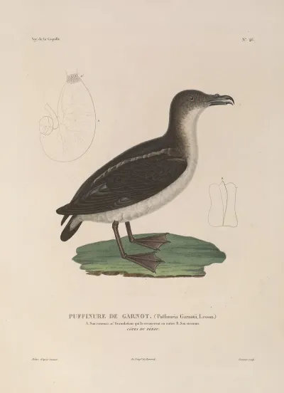 Voyage Autour Du Monde Pl 152