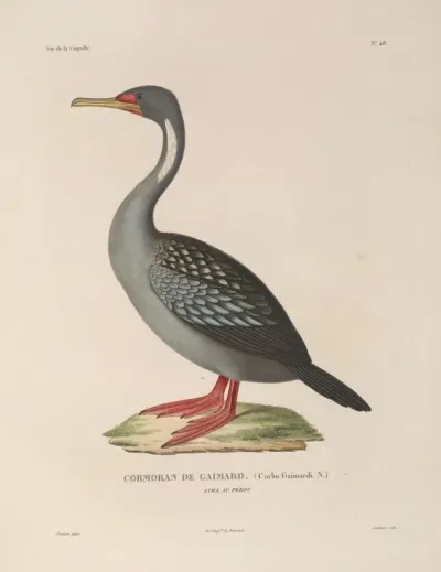 Voyage Autour Du Monde Pl 154