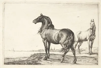 Vrinskende Hest
