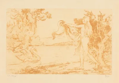 Vrouw Met Zwanen