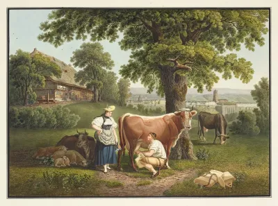 Vue De Berne Depuis Le Sandrain