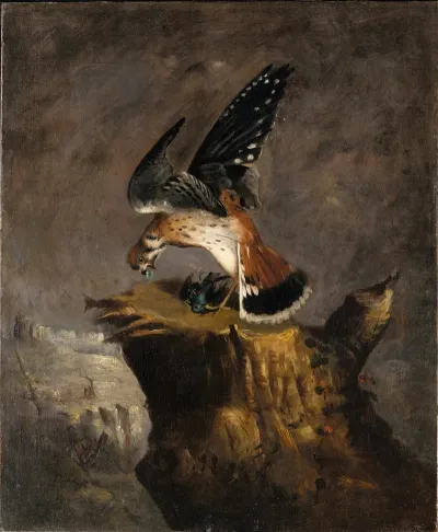 Vulture And Its Prey
