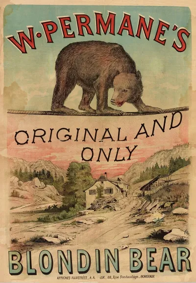 W Permanes Original And Only Blondin Bear