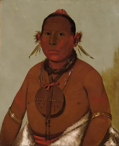 Wa Saw Me Saw Roaring Thunder Youngest Son Of Black Hawk
