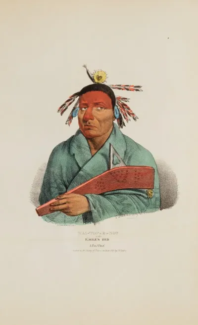 Waa Top E Not Or The Eagles Bed A Fox Chief