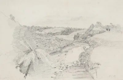 Waiwakaiho River Taranaki Looking Up From Richardsons