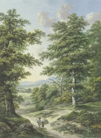 Waldausgang Mit Blick Auf Kornfelder Und Ein Dorfchen