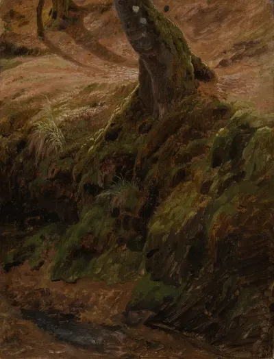 Waldboschung Mit Baumstamm