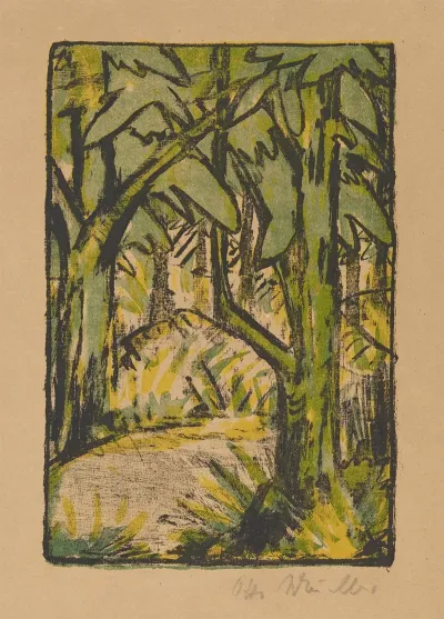 Waldlandschaft 11