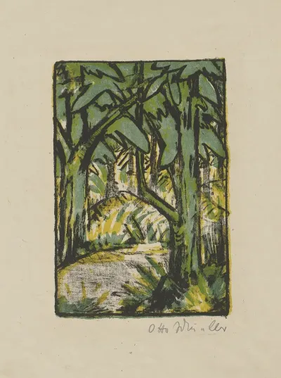 Waldlandschaft 9