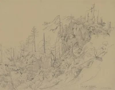 Waldlandschaft Bei Hallstadt