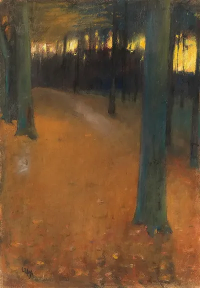 Waldlandschaft Im Abendlicht