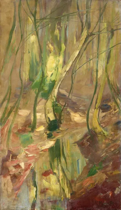 Waldlandschaft Mit Bachlauf Golmer Luch